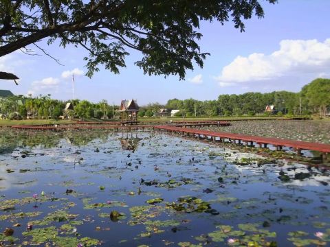 หนองหาร