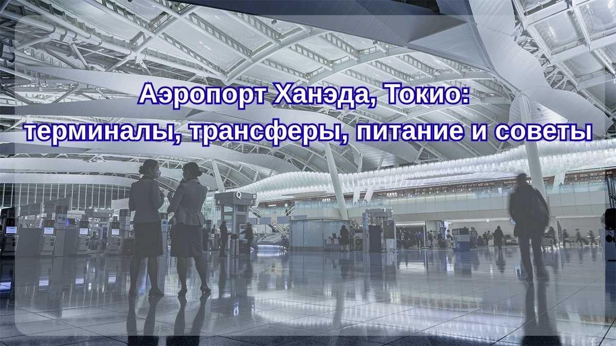 Аэропорт Ханэда, Токио: терминалы, трансферы, питание и советы| Trip.com