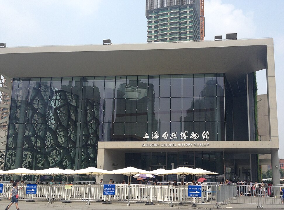 上海自然博物館とは？