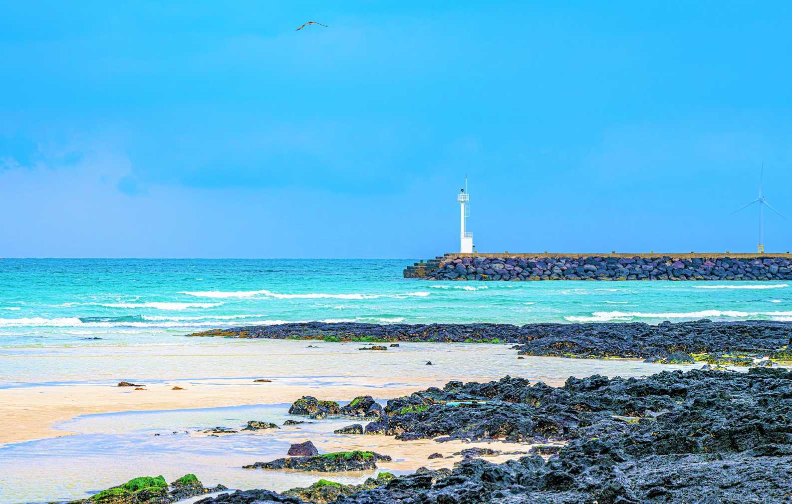 Beach in Jeju Island