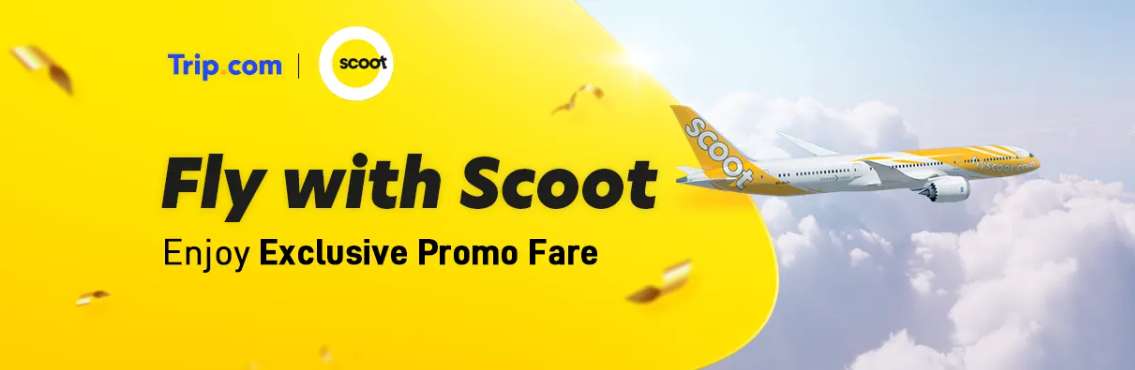 Fly with Scoot