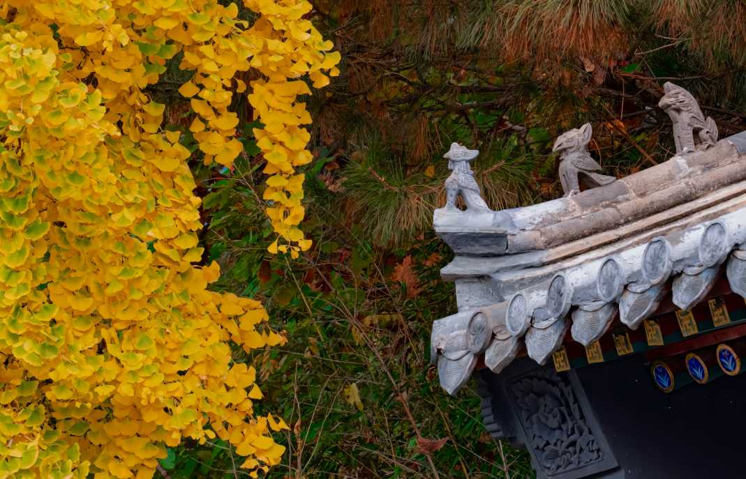 Beijing Weather: Autumn in Beijing