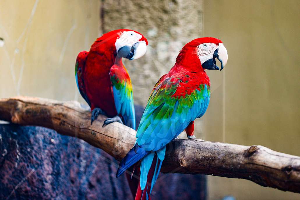 Zoo Johor