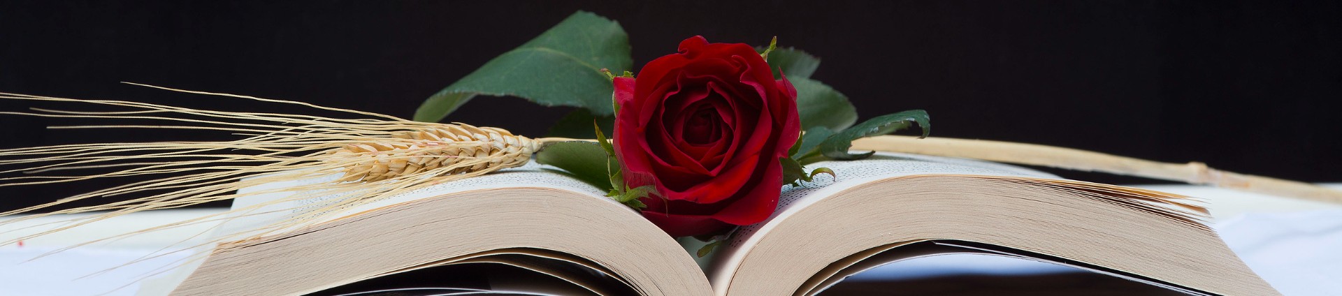 Sant Jordi Barcelona