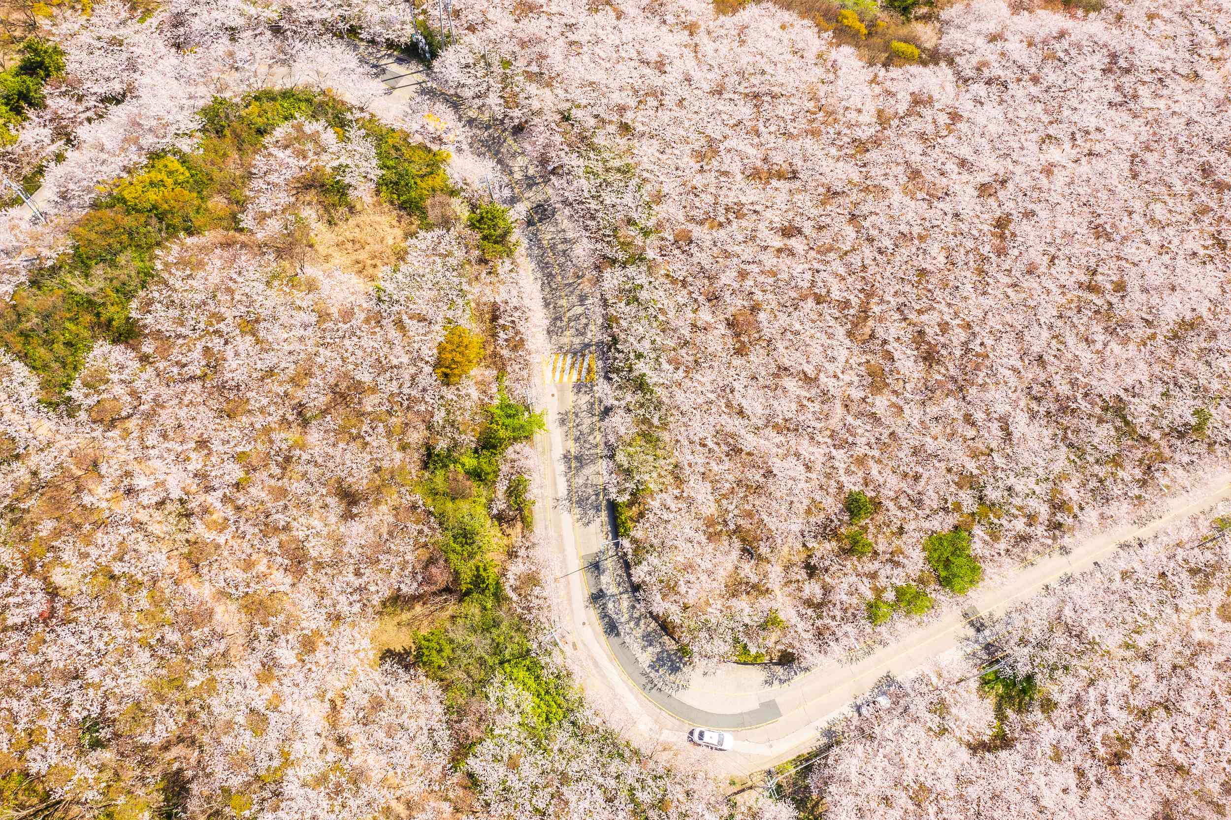 주말에 아이들과 가볼만한 곳