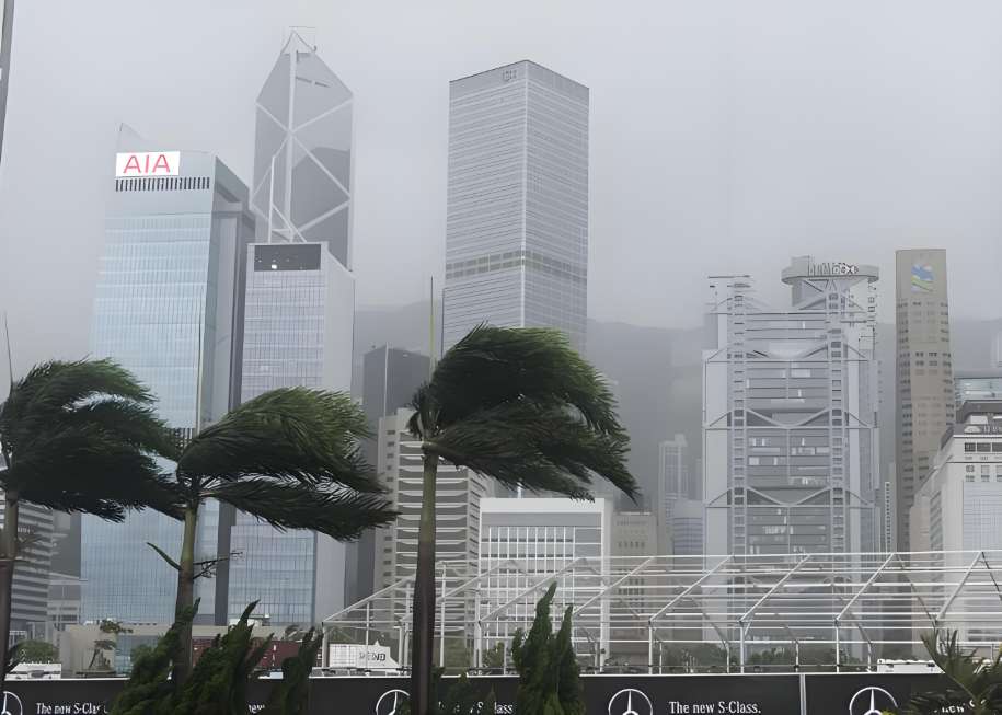 Typhoon Season