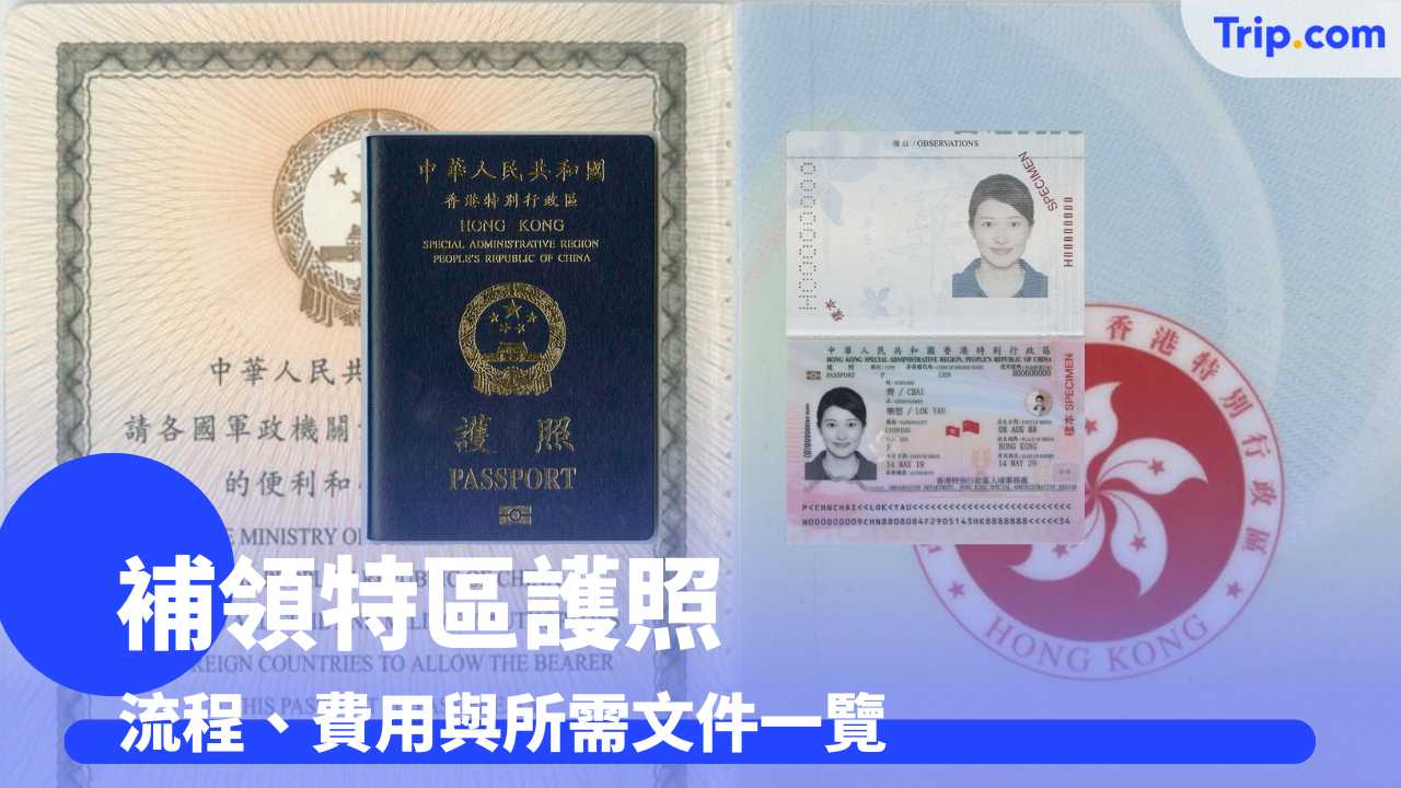 補領特區護照