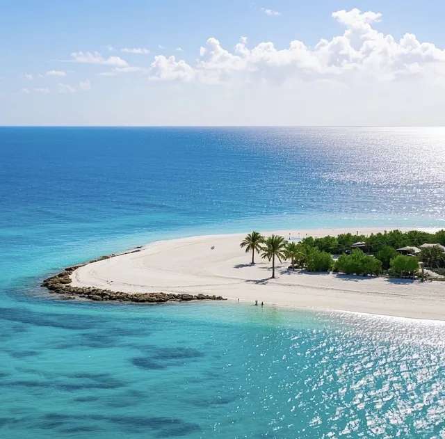 جزيرة المرجان
