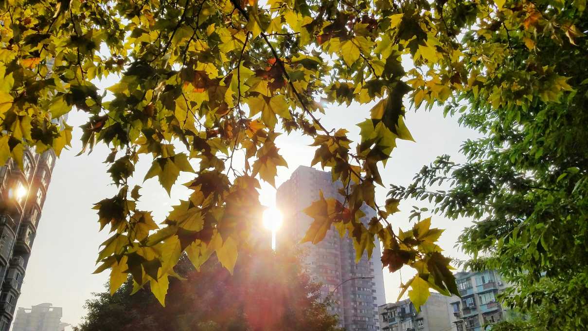 重庆天气