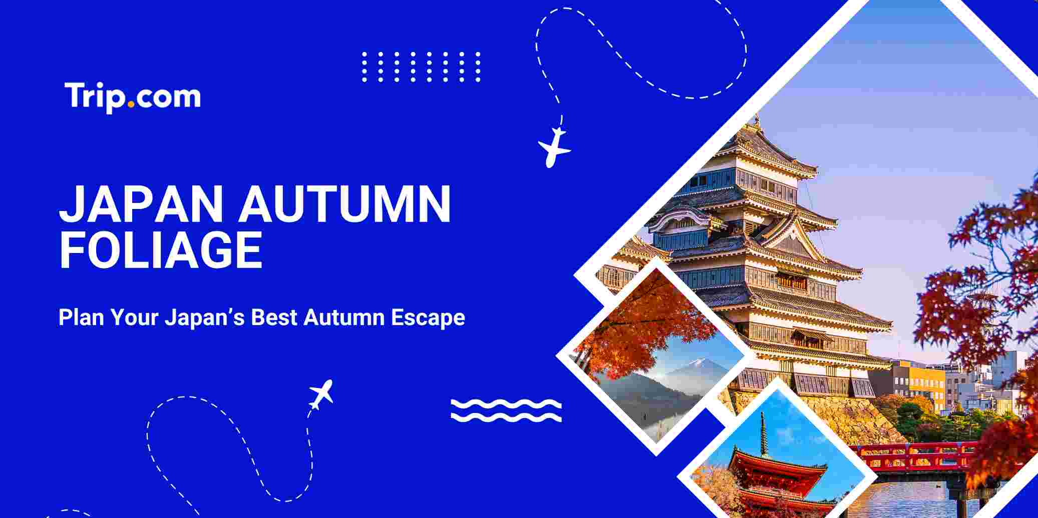 Japan Autumn Foliage