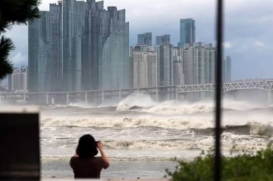 Busan Storms