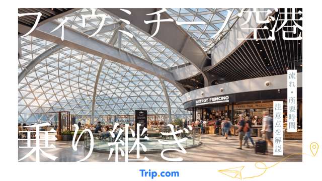 フィウミチーノ空港の乗り継ぎを徹底解説【初心者でも安心】