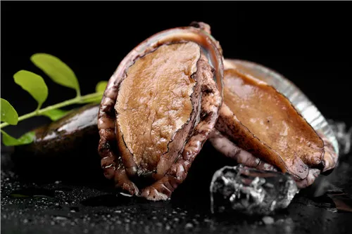 หอยเป๋าฮื้อหนานอ่าว