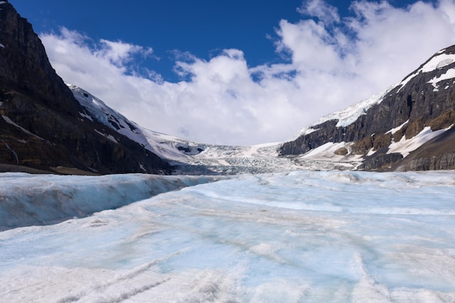 Columbia Icefield Adventure (Glacier & Skywalk)