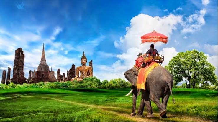 Elephant in Thailand
