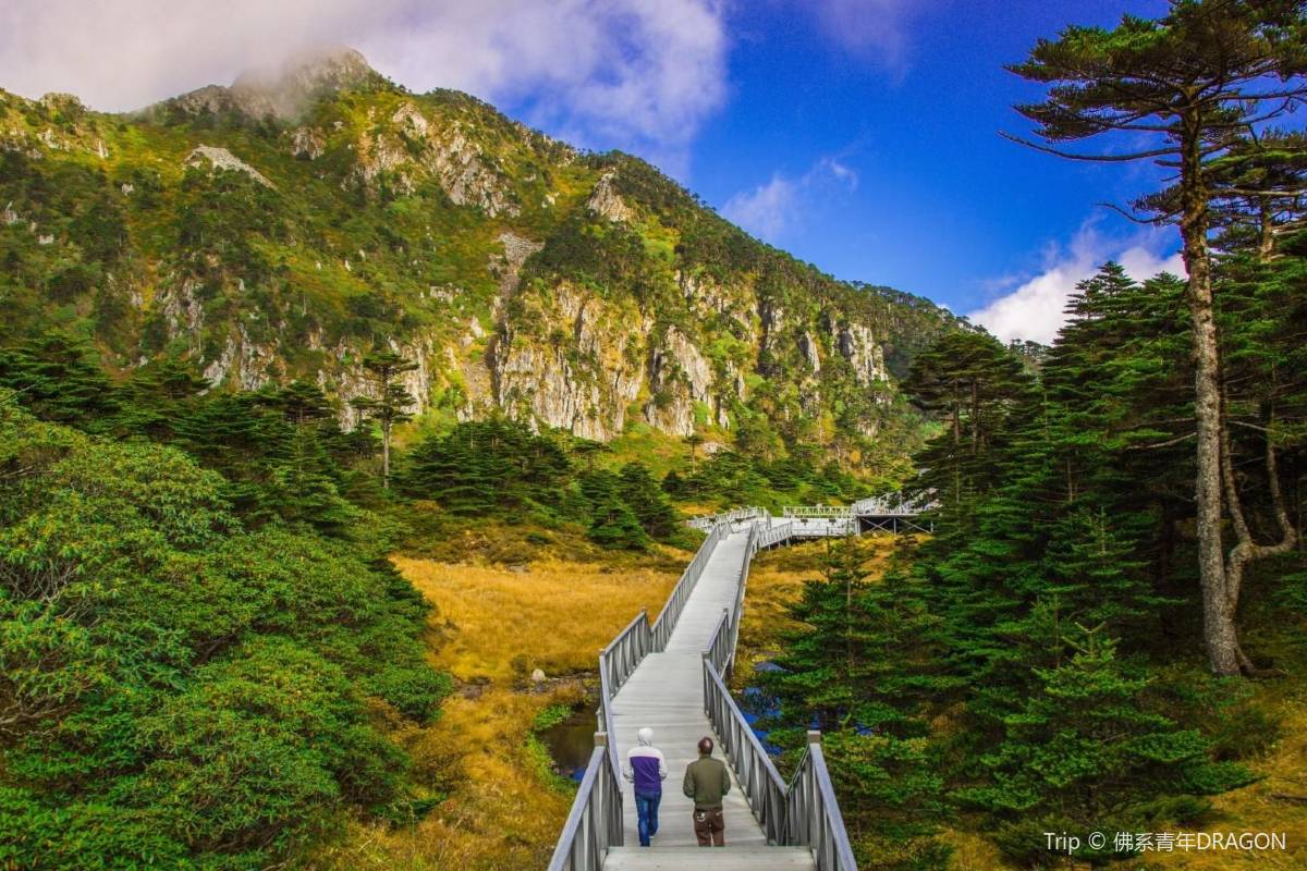 蒼山