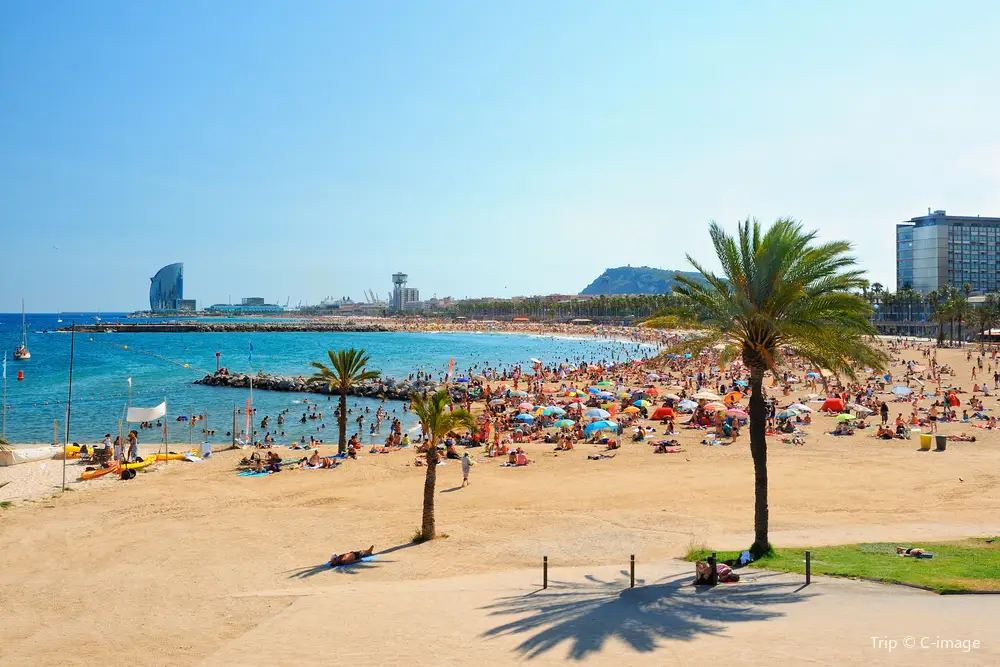 Barceloneta