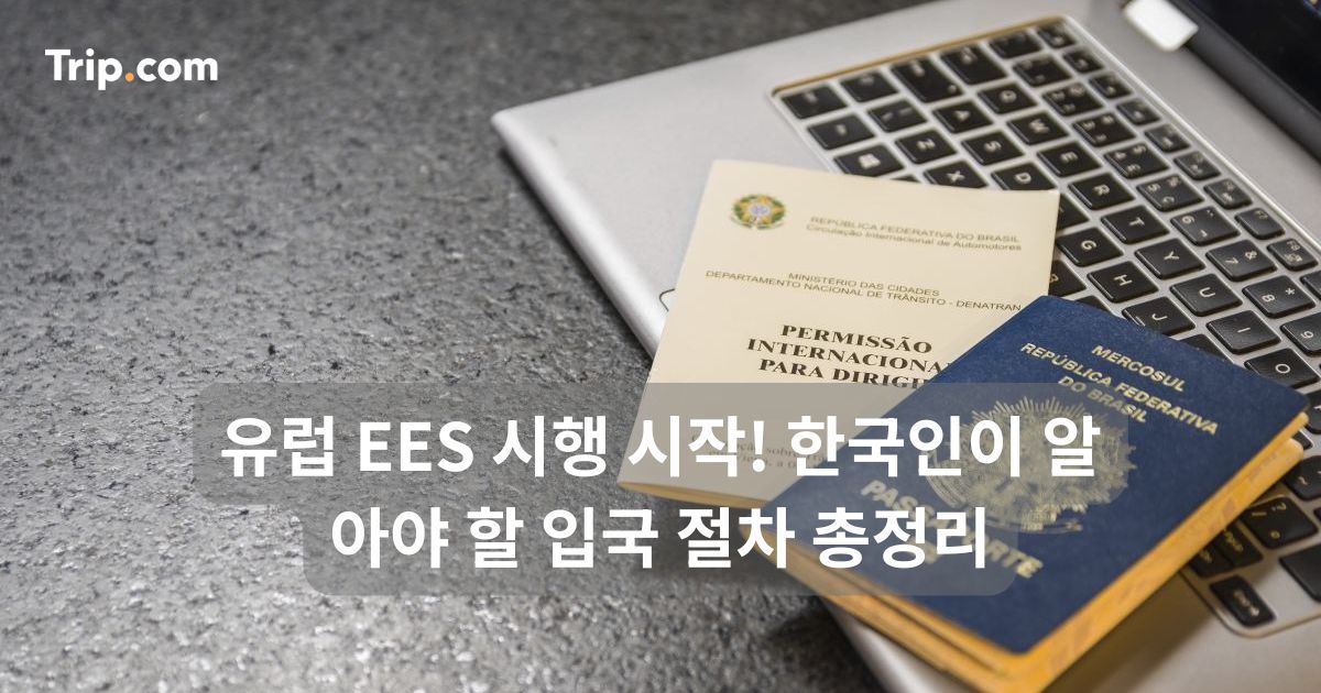 유럽 EES 시행 시작! 한국인이 알아야 할 입국 절차 총정리 | 트립닷컴