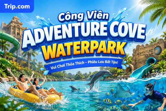 Kinh nghiệm đi Công viên Adventure Cove Waterpark: Vé, trò chơi & mẹo tham quan | Trip.com