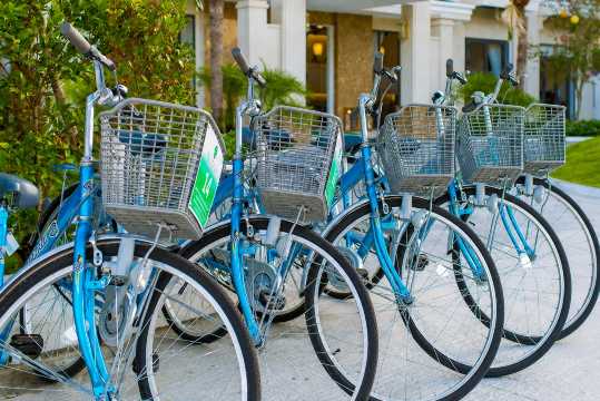 Bicycle Rentals