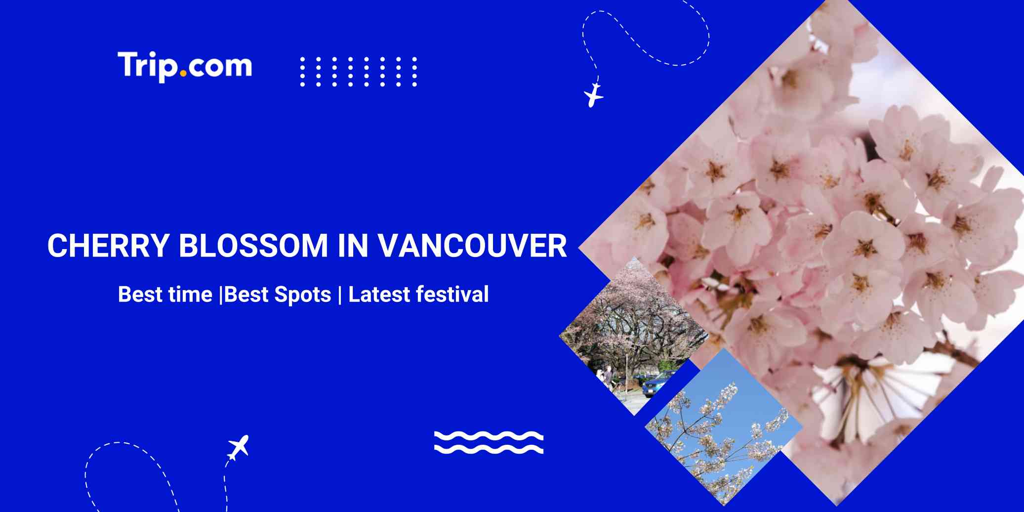 2026 Vancouver Cherry Blossom Guide: Top Spots & Dates | Trip.com