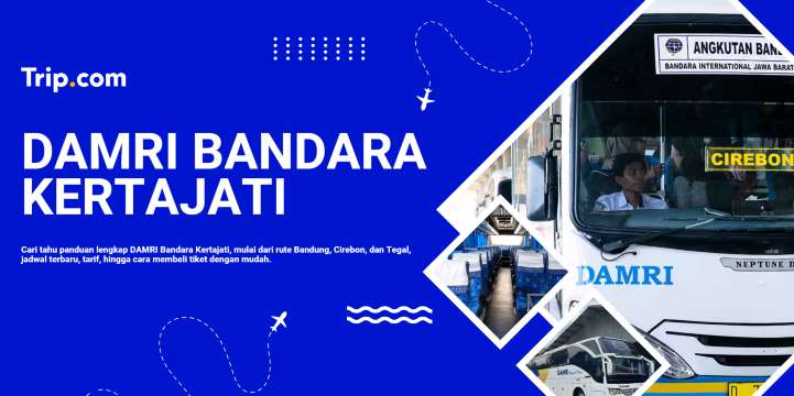 DAMRI Bandara Kertajati: Jadwal, Rute, Harga Tiket & Cara Pemesanan | Trip.com