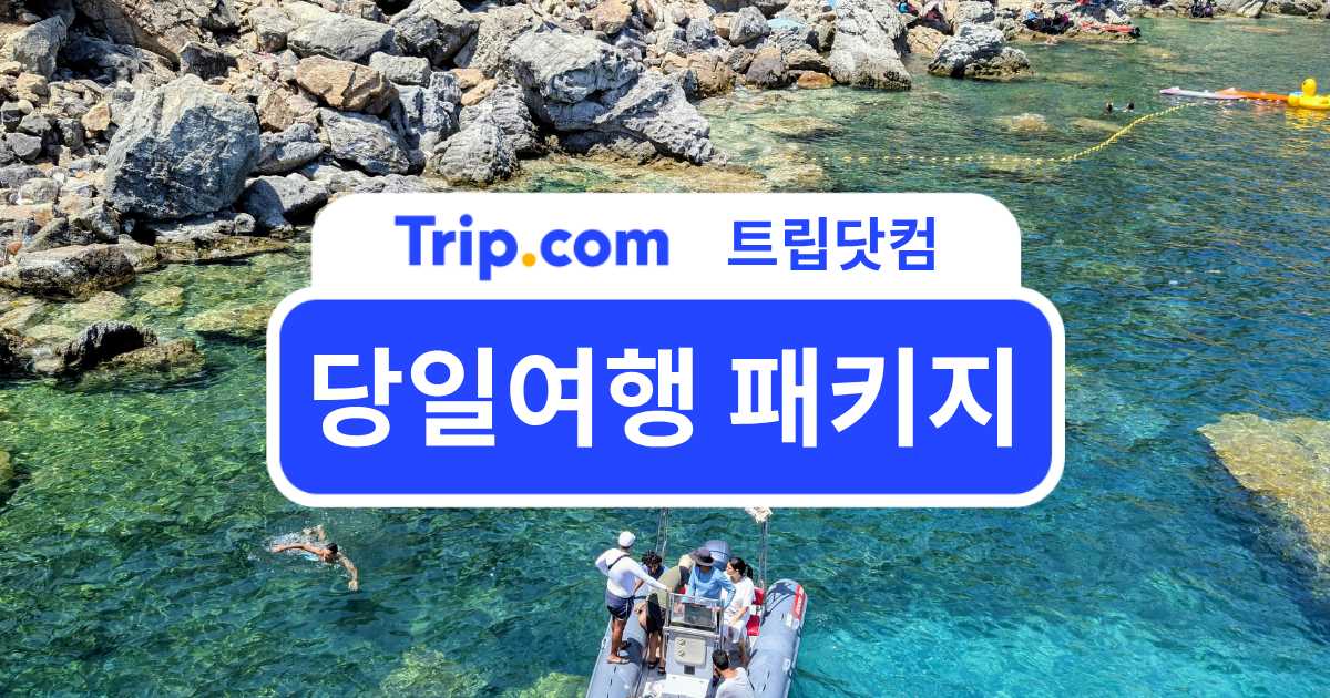 당일여행 패키지