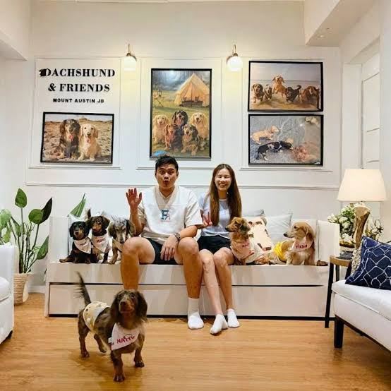 Dachshund & Friends