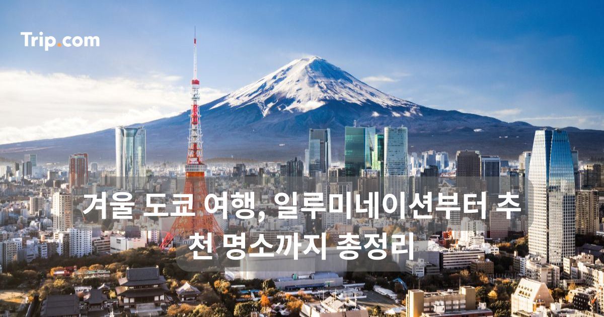 겨울 도쿄 여행, 일루미네이션부터 추천 명소까지 총정리 | 트립닷컴