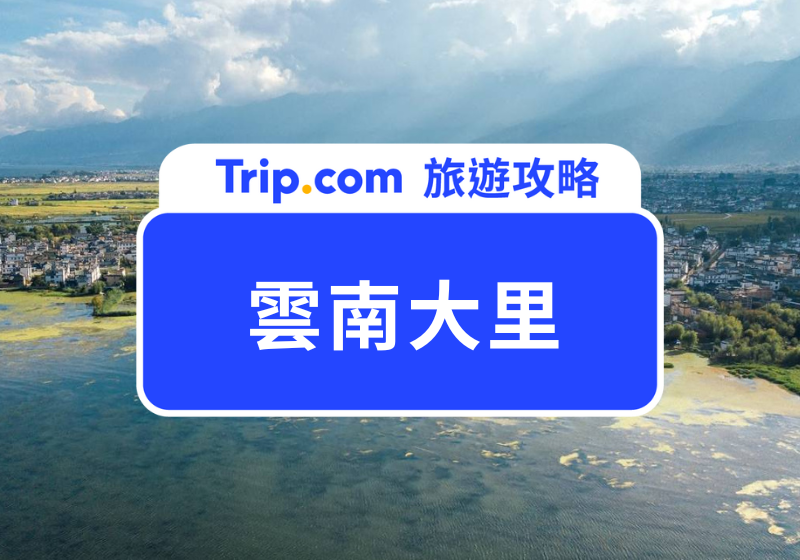 雲南大里