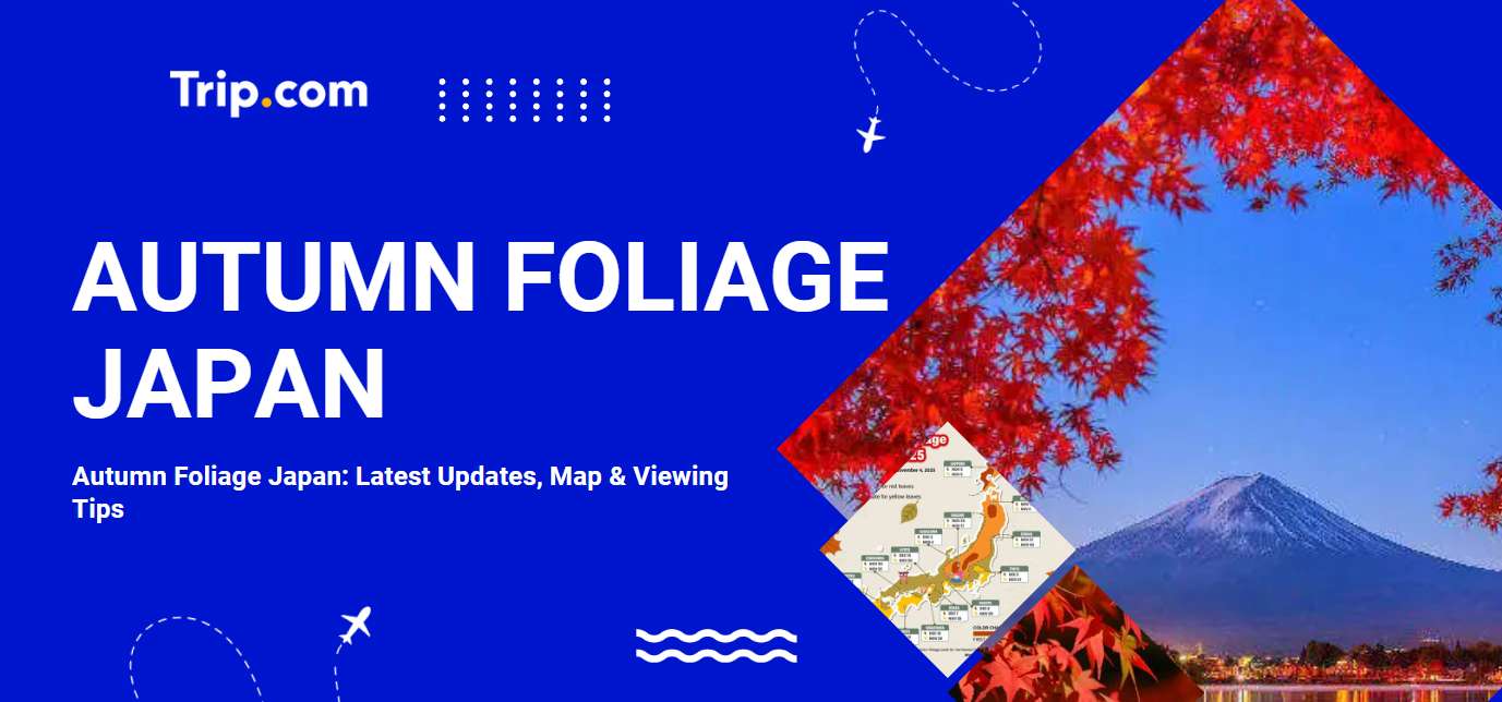 Autumn Foliage Japan: Latest Updates, Map & Viewing Tips | Trip.com