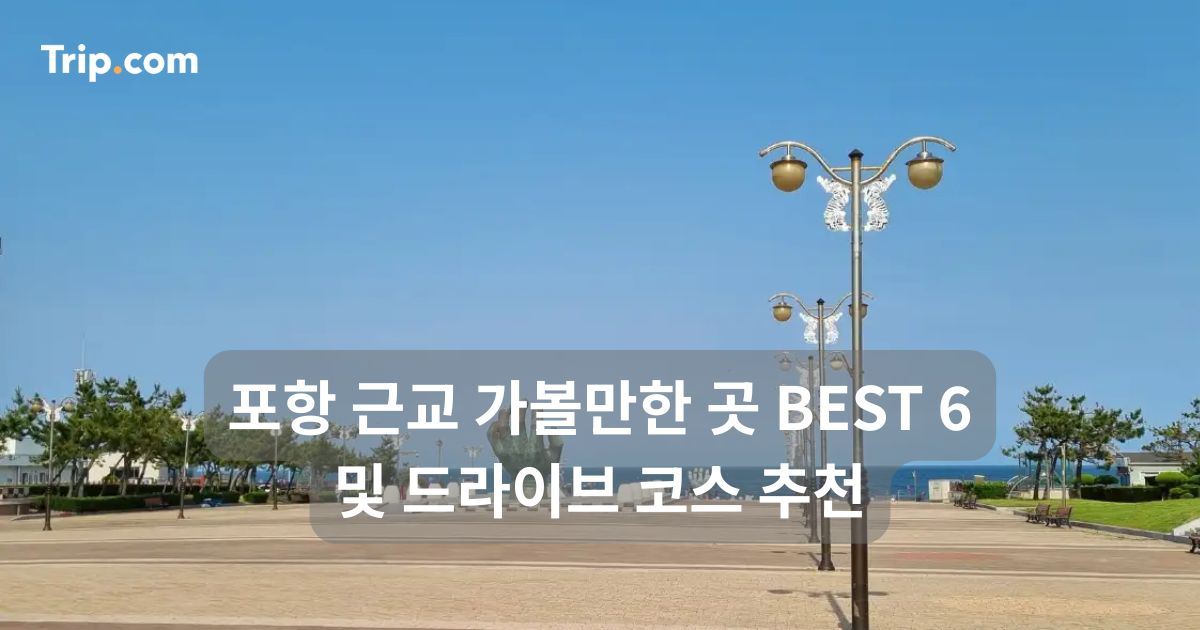 포항 근교 가볼만한 곳 BEST 6 및 드라이브 코스 추천 | 트립닷컴