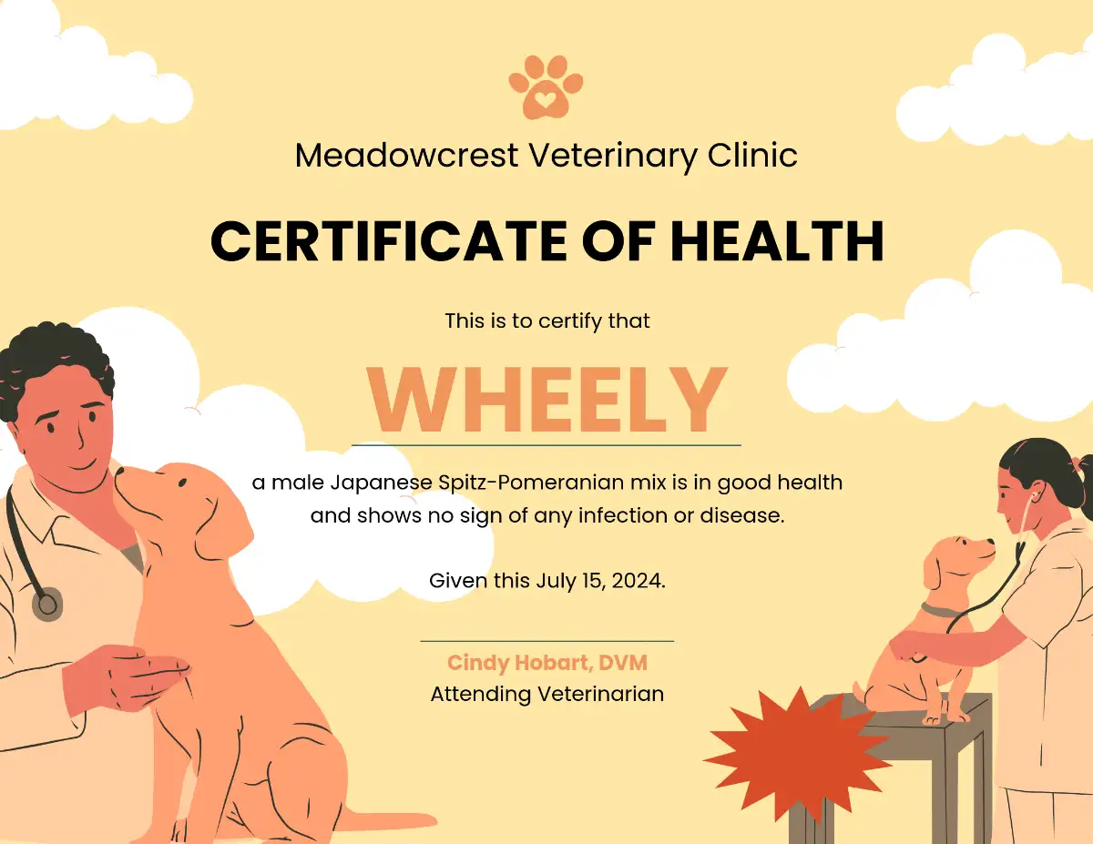 Required Documents & Items to Prepare for Pet Flight