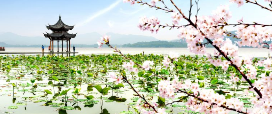 Hangzhou Travel Guide: Best Hotels, Attractions, and Transport