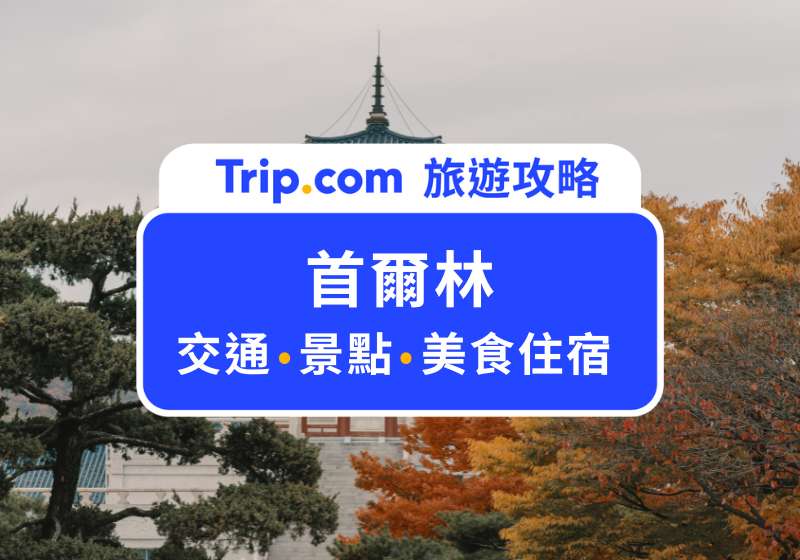 首爾林公園與城市漫遊指南