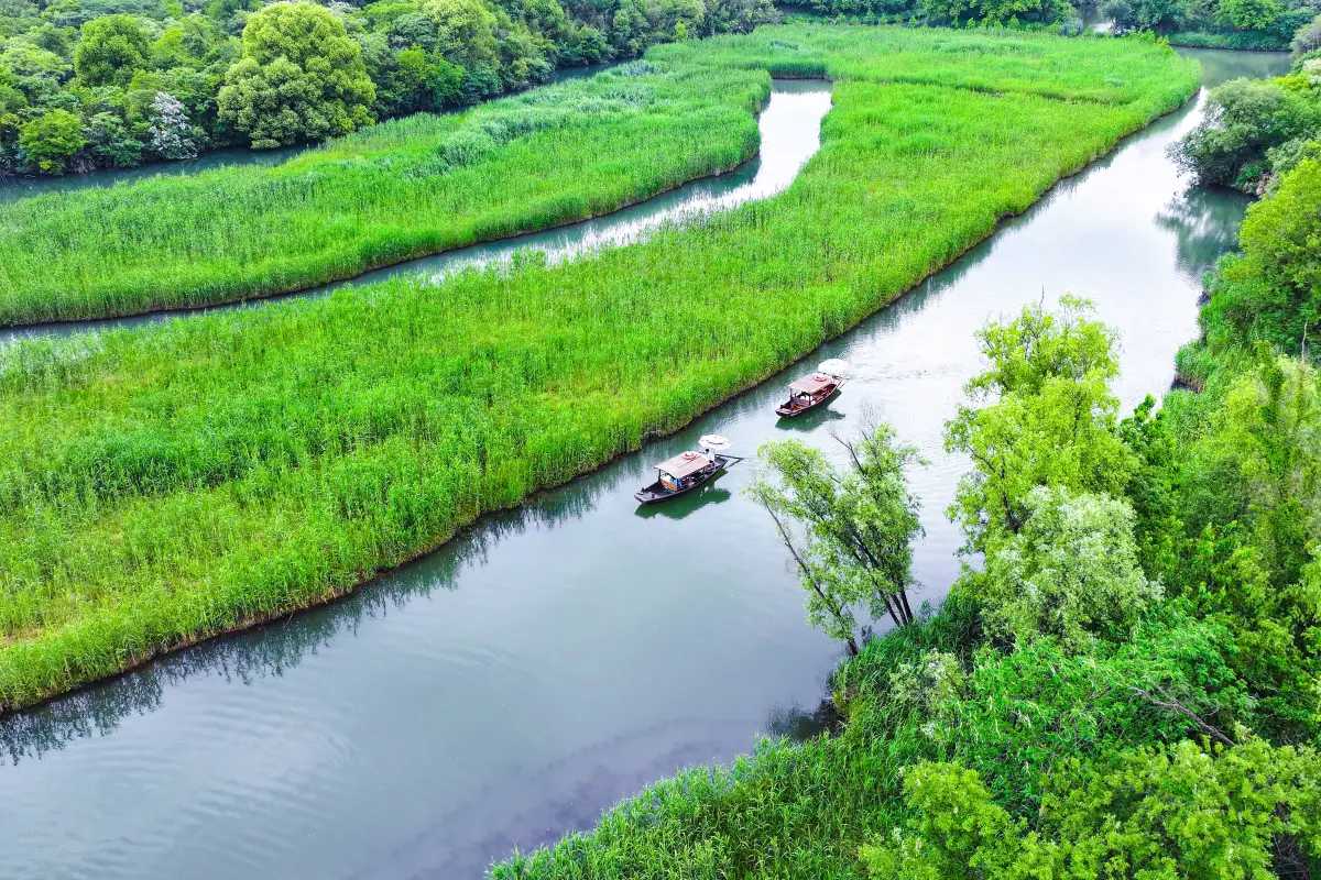Xixi National Wetland Park