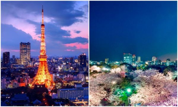 東京から福岡までの移動方法の特徴