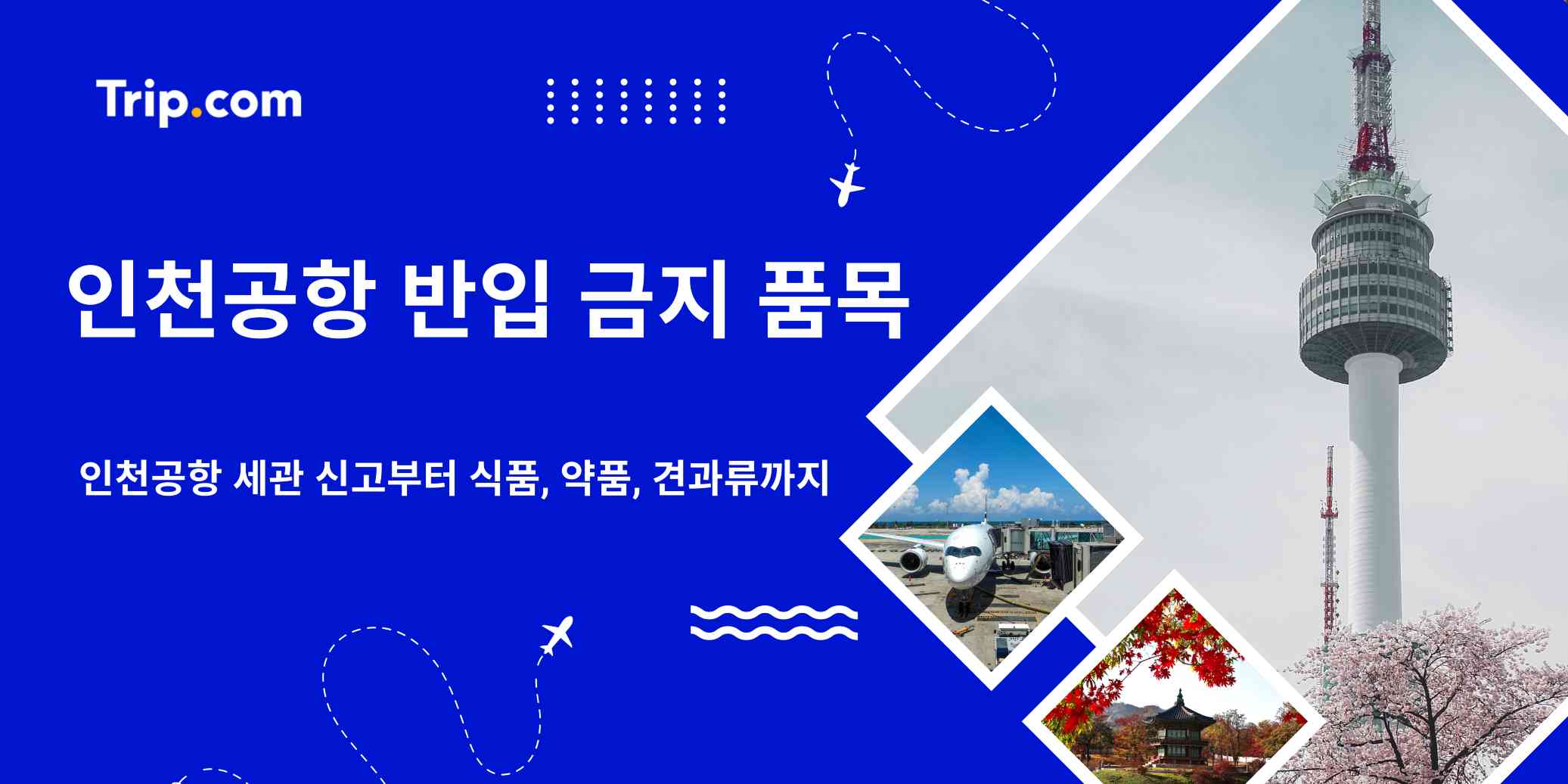 인천공항 반입 금지 품목: 식품, 약품 카테고리별 살펴보기 | 트립닷컴