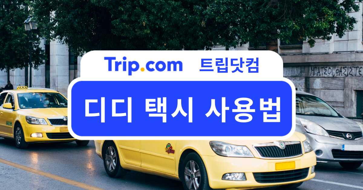 디디 택시 사용법 완벽 가이드