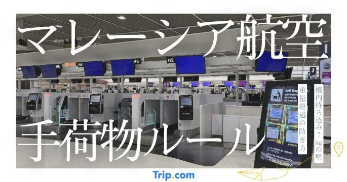 マレーシア航空 手荷物