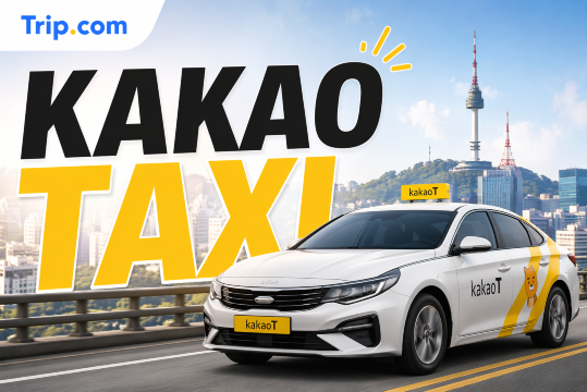 Kakao Taxi: Booking, Payment and Travel Tips | Trip.com
