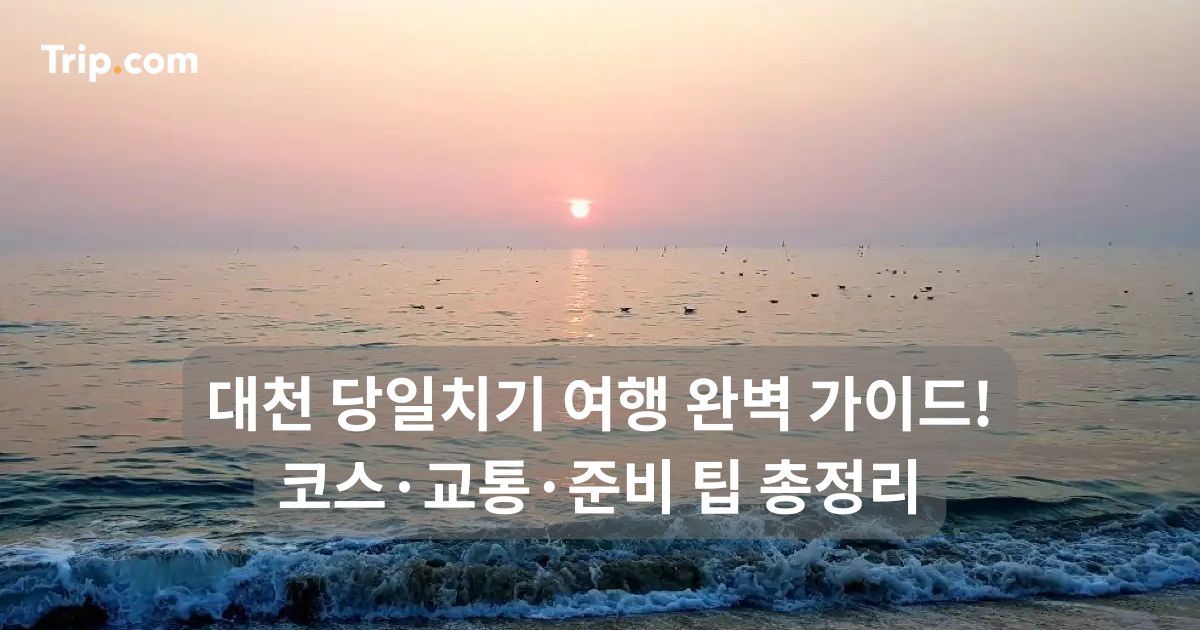 대천 당일치기 여행