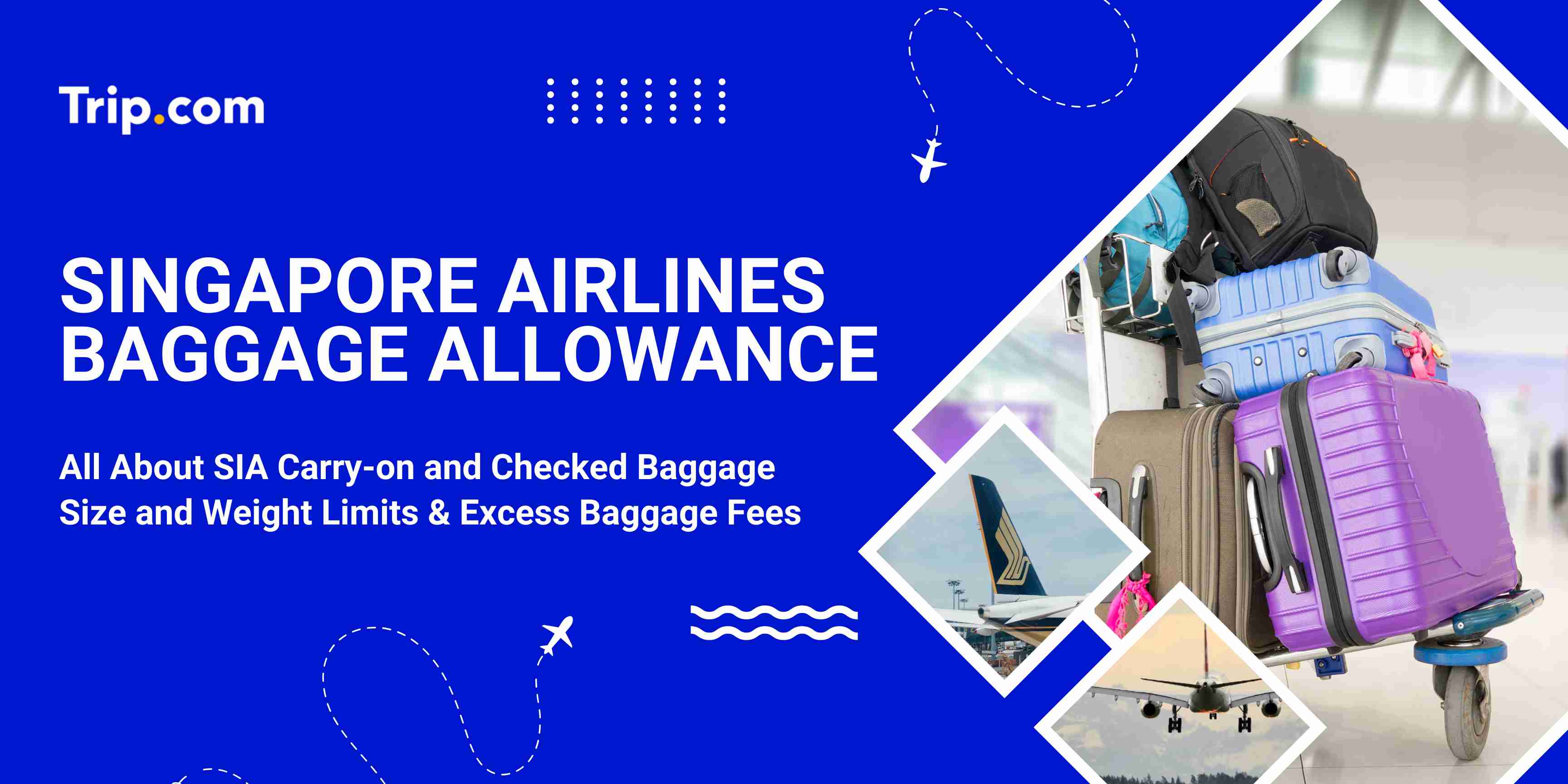 Singapore Airlines Baggage Allowance (2026): Limits & Fees | Trip.com