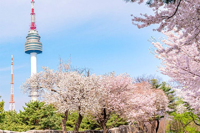 서울 여행 가이드