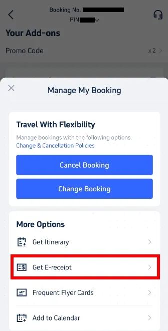 Электронный Чек Trip.com