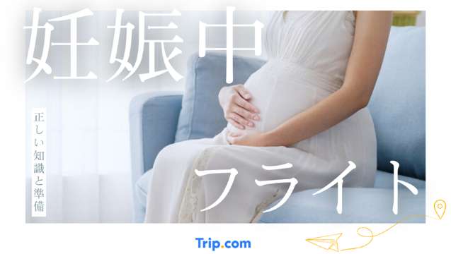 妊娠中 フライト