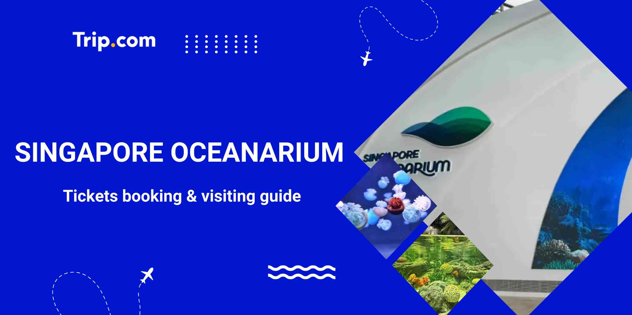 Singapore Oceanarium Tickets & Travel Guide