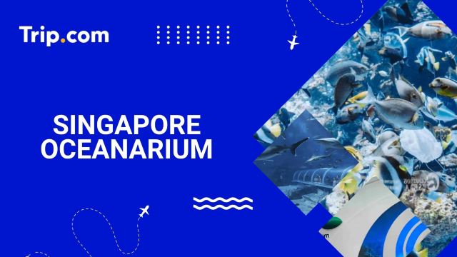 Singapore Oceanarium