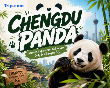 Chengdu Panda Guide: Tickets, Best Places & Visiting Tips