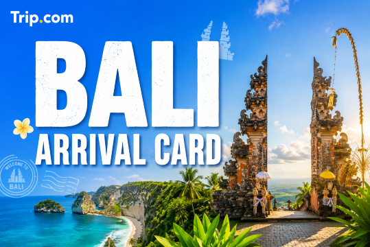 Bali Arrival Card